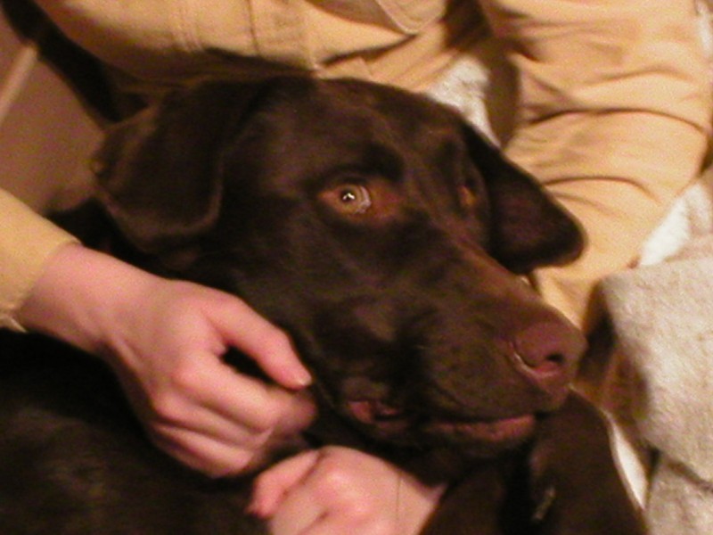 Katie and Annie 3.jpg